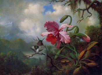 馬丁 約翰遜 赫德 Orchid and Hummingbirds near a Mountain Lake 馬丁 約翰遜 赫德 Orchid and Hummingbirds near a Mountain Lake